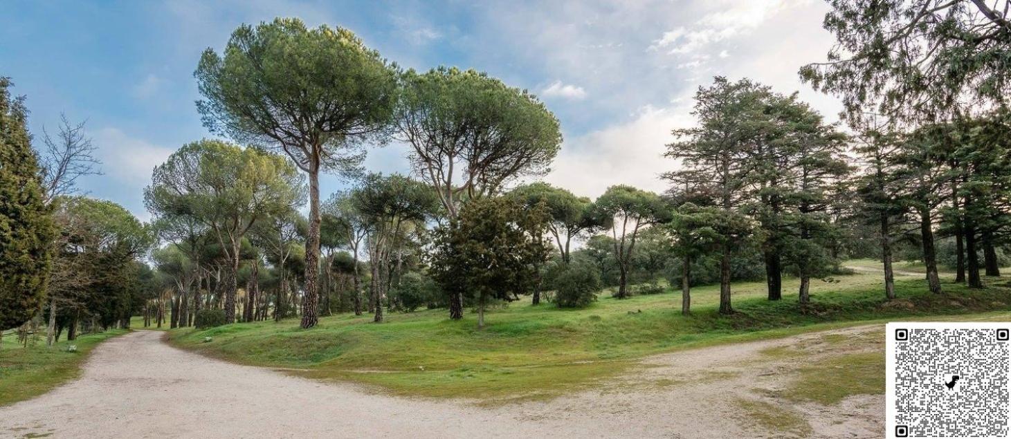 Apartamento Las Rozas Centro Con Parking Incluido Екстериор снимка